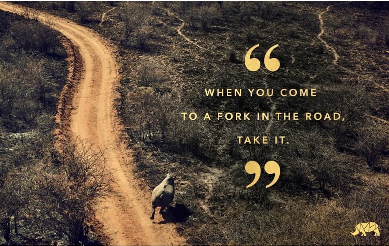 Contributors, new project alert!!
When the time is right, we will share about the. fork in road that the CoC is about to GALLOP down&hellip;. #rhinocollective
 #4therhino
#stepbystep 
#standup 
#savetherhinos 
#whatcanyoudo 
#contributor
