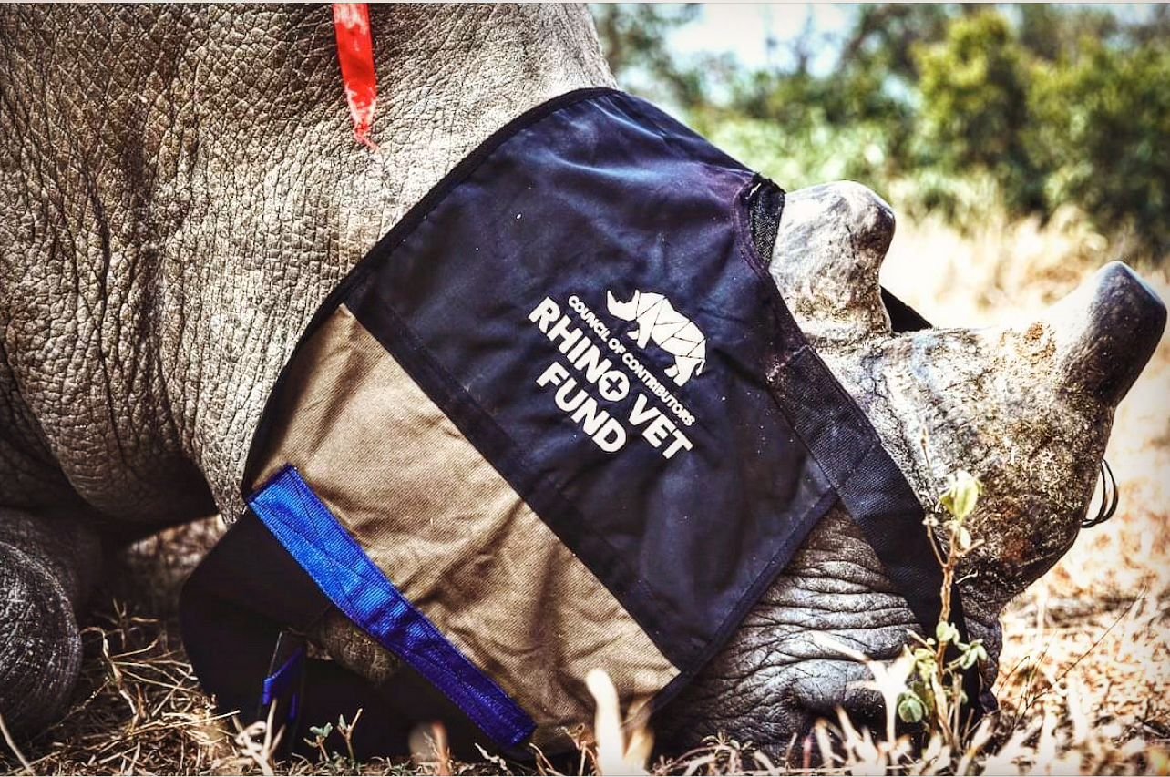 NEW PROJECT // CoC 076: The Council of Contributors Rhino Vet Fund donated 4 new Rhino Blindfolds to Ol Pejeta Conservancy in Kenya, plus $5,000 towards their rhino-specific veterinarian needs. The CoC RVF also supported dehorning efforts in Hluhluwe