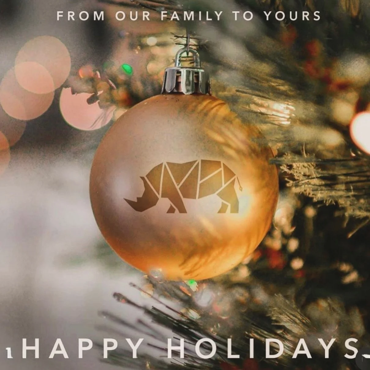 Because of you, our contributors, our protectors, our steady-hearted supporters,
we&rsquo;ve built more than a sanctuary.

We&rsquo;ve built safety.
We&rsquo;ve built second chances.
We&rsquo;ve built a future.
You showed up, gave what you could, and