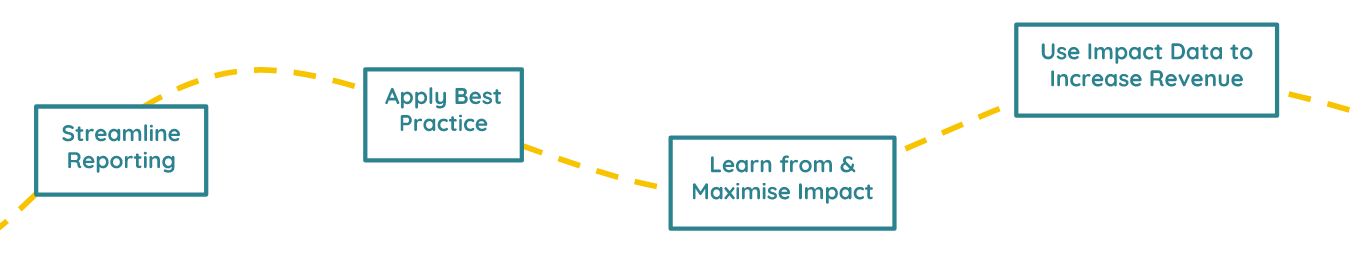 Impact Maturity Journey.png