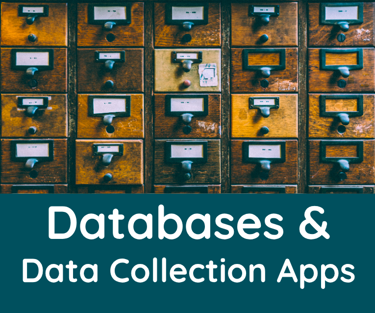 Databases mini.png