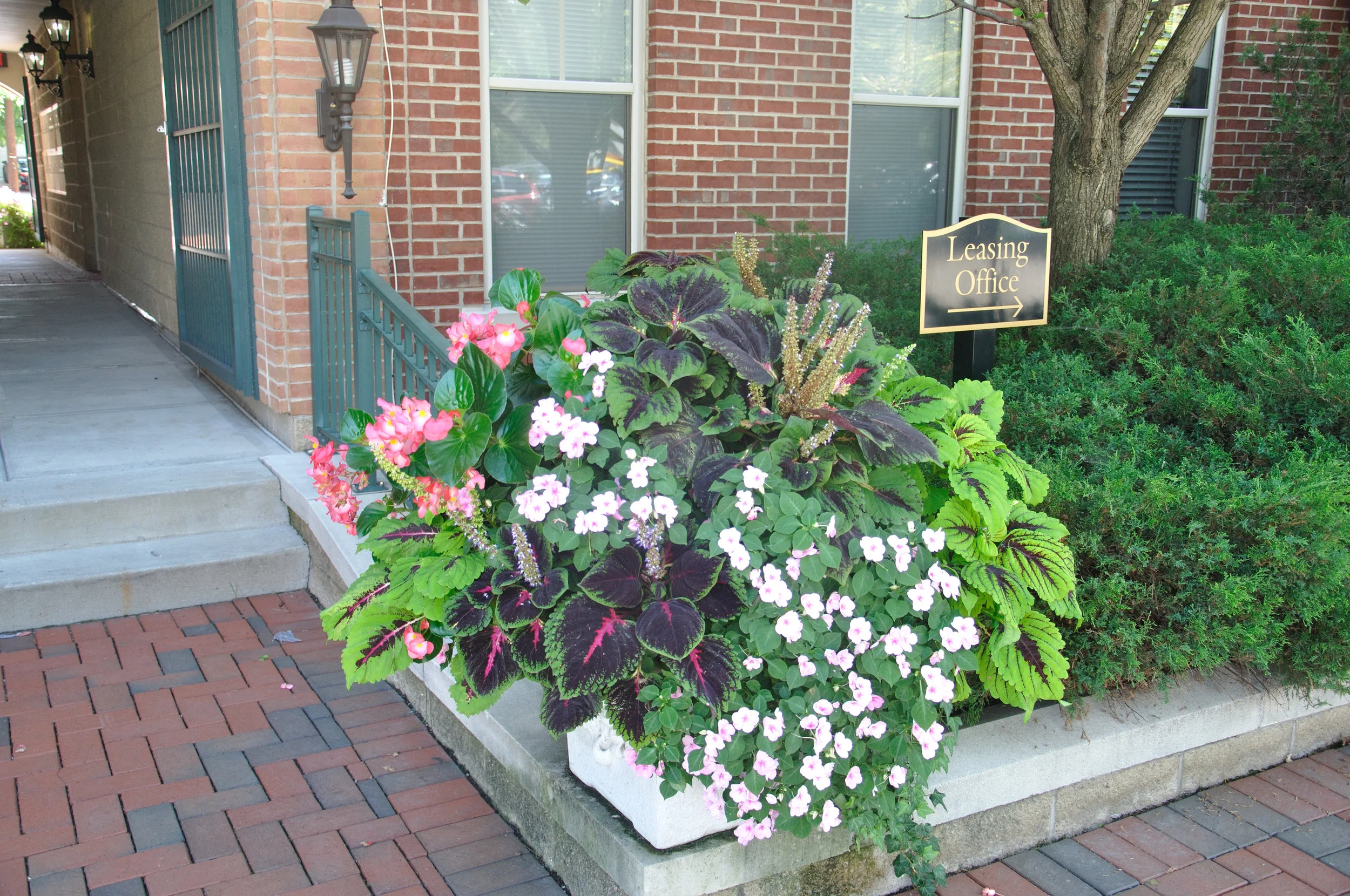 SUMMER — Wow Windowboxes