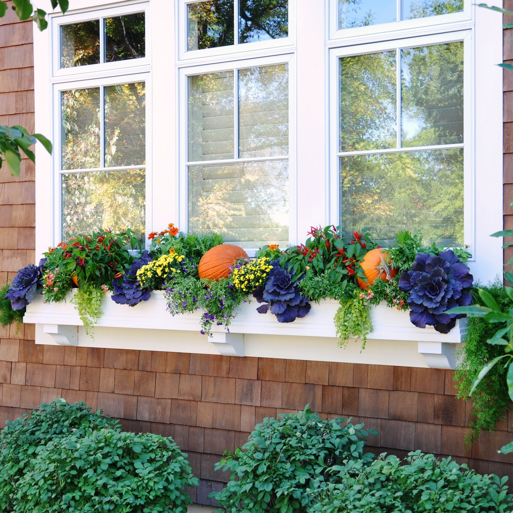 YEARROUND PLANTING — Wow Windowboxes
