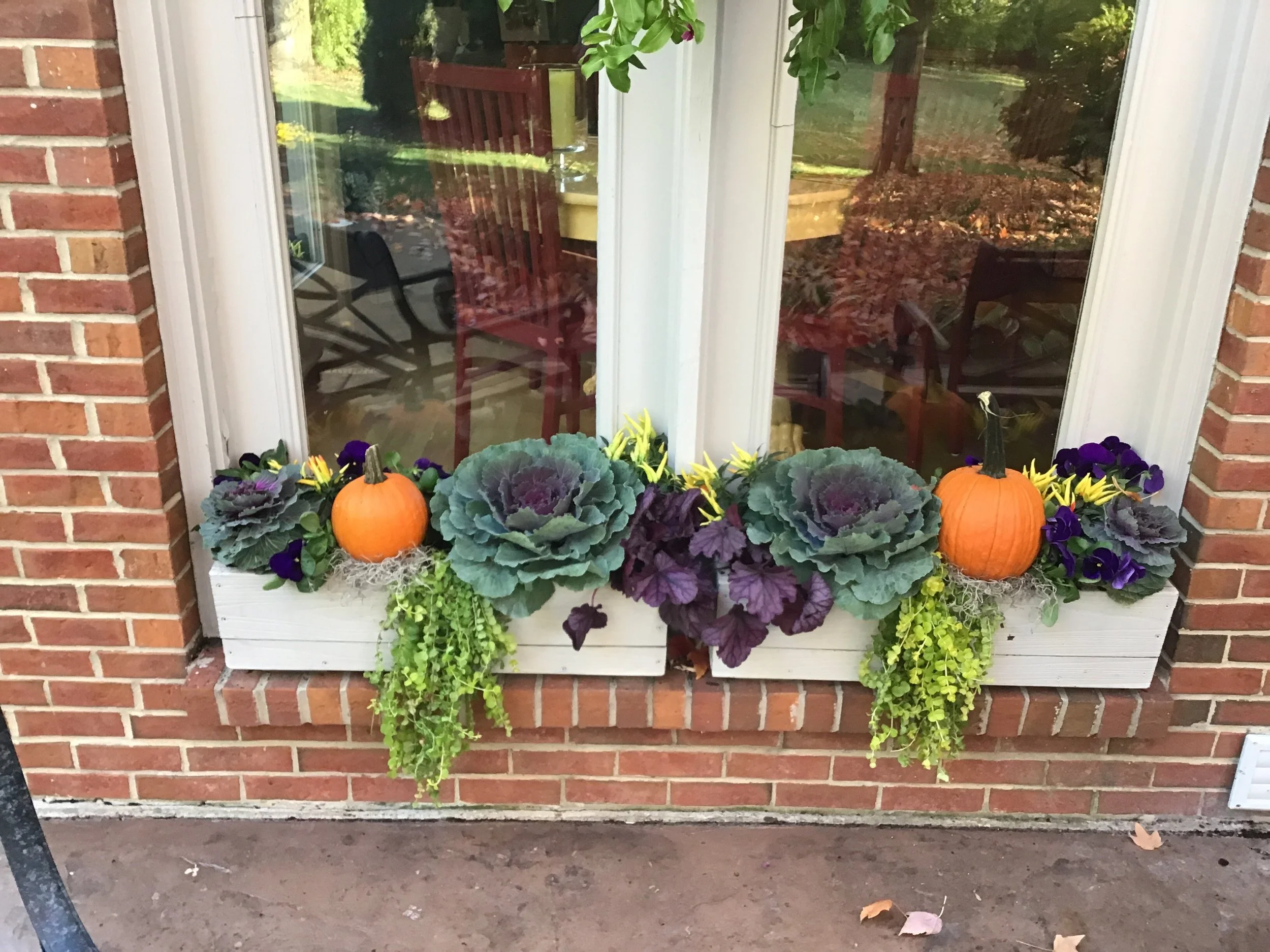 FALL — WOW Windowboxes