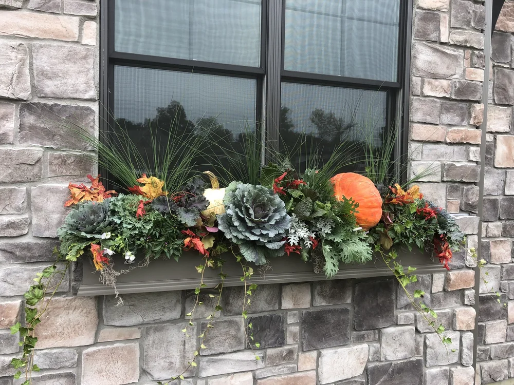 Des Moines — WOW Windowboxes