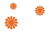 flowers_orange-01 2.jpg