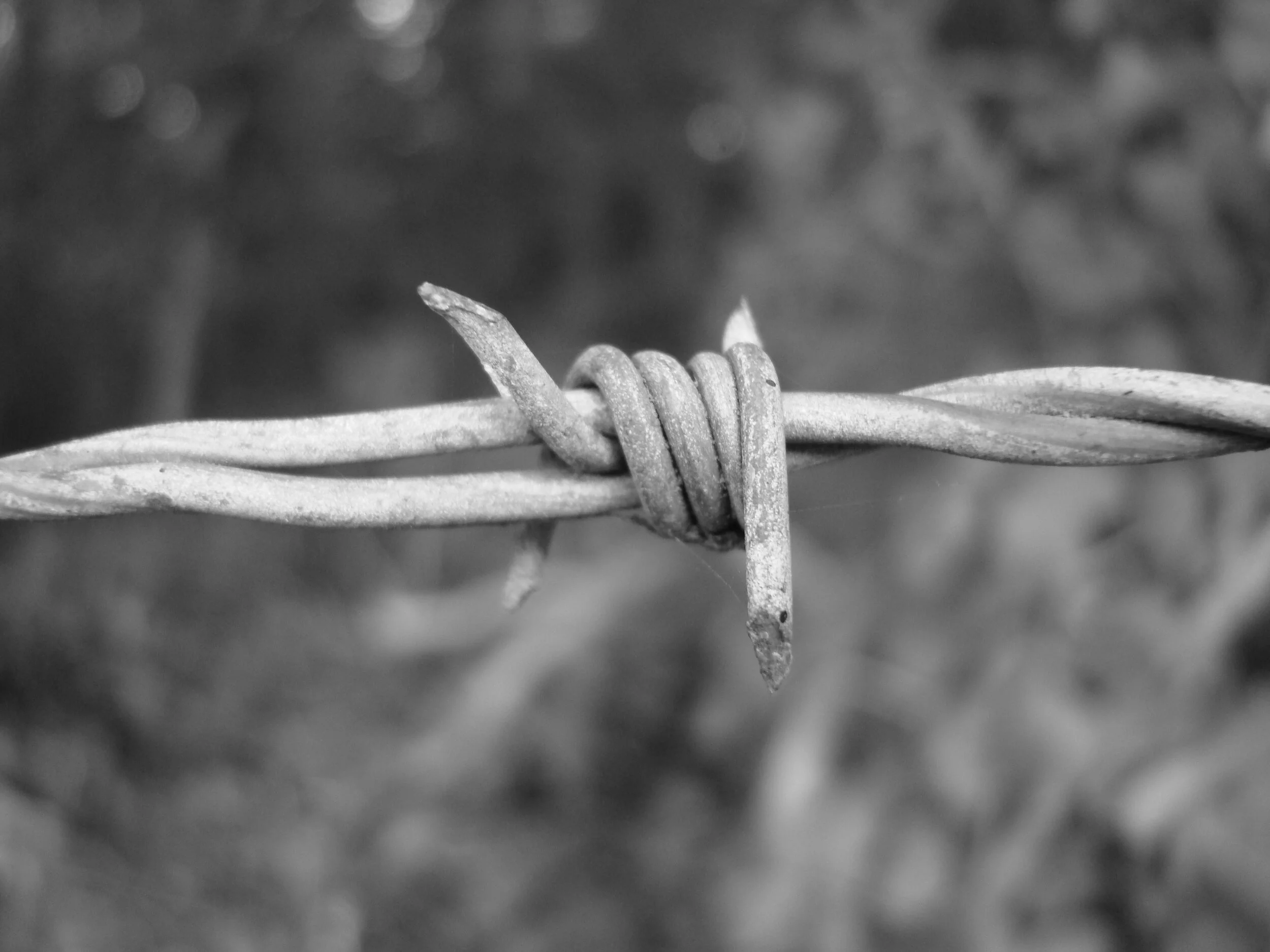 Unsung 2012 deatail.JPG