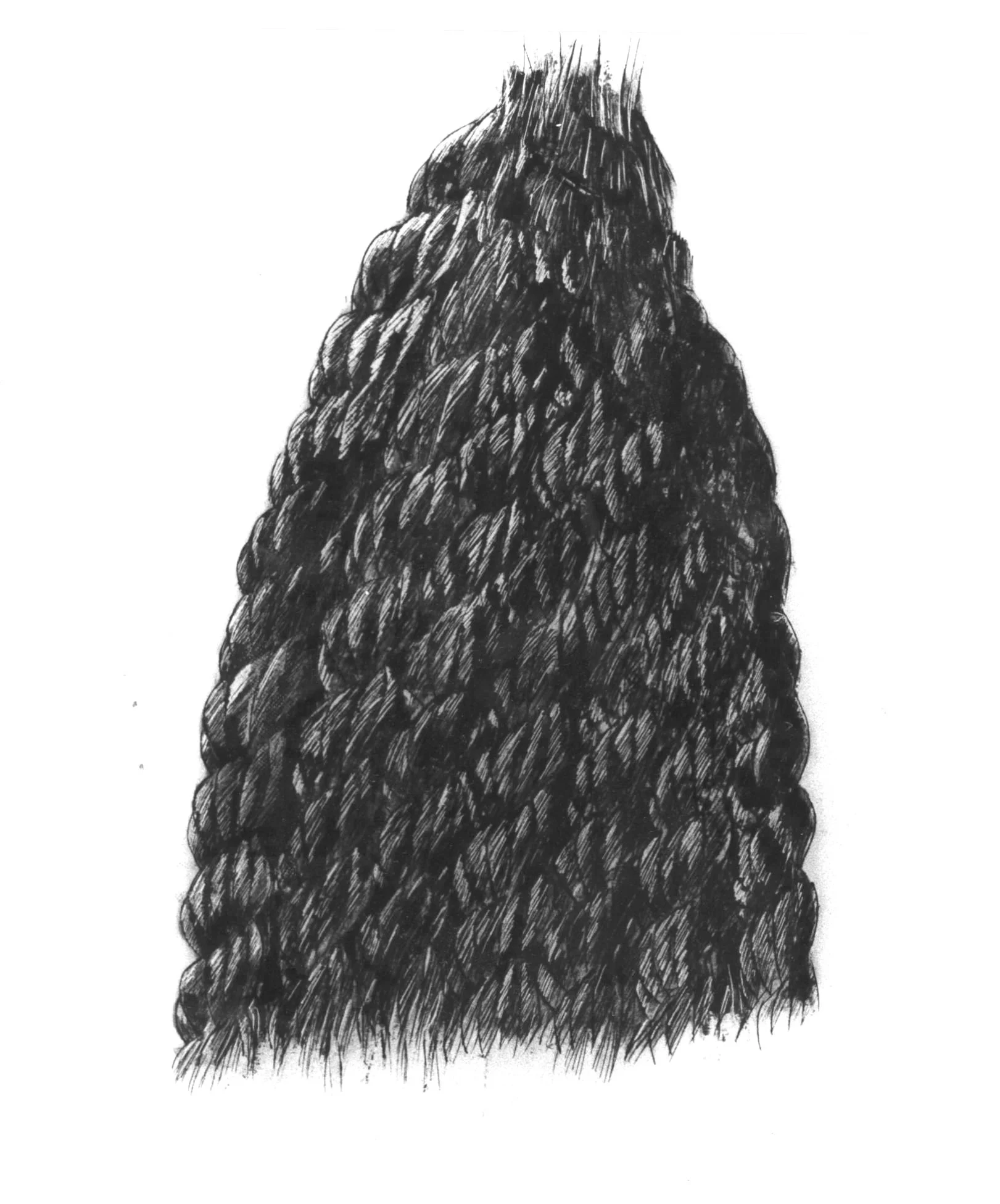 rope+4+1989.jpg