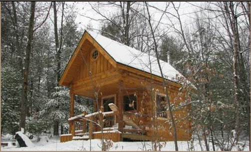 startercabin.jpg