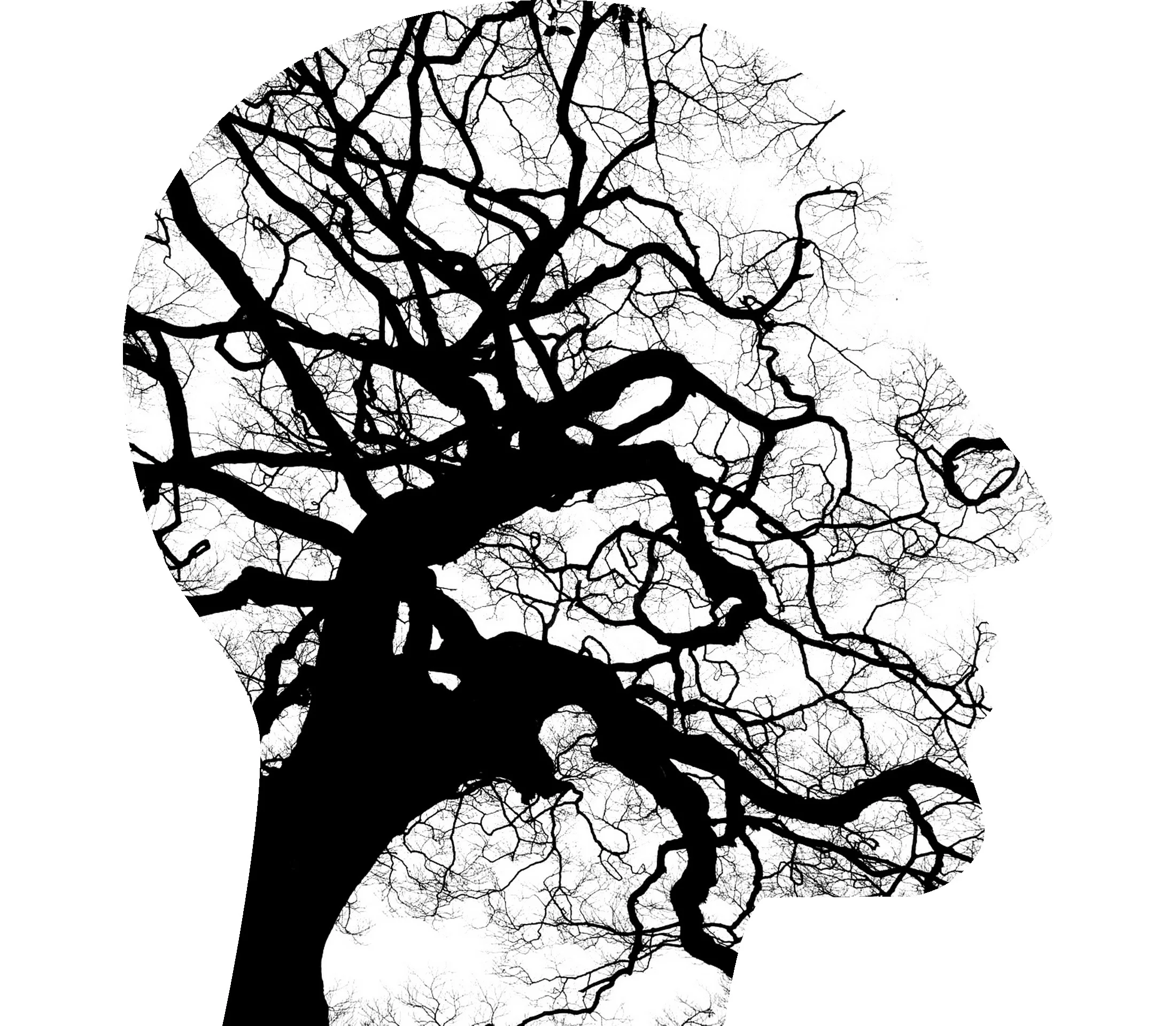 mental-health-2313430.jpg