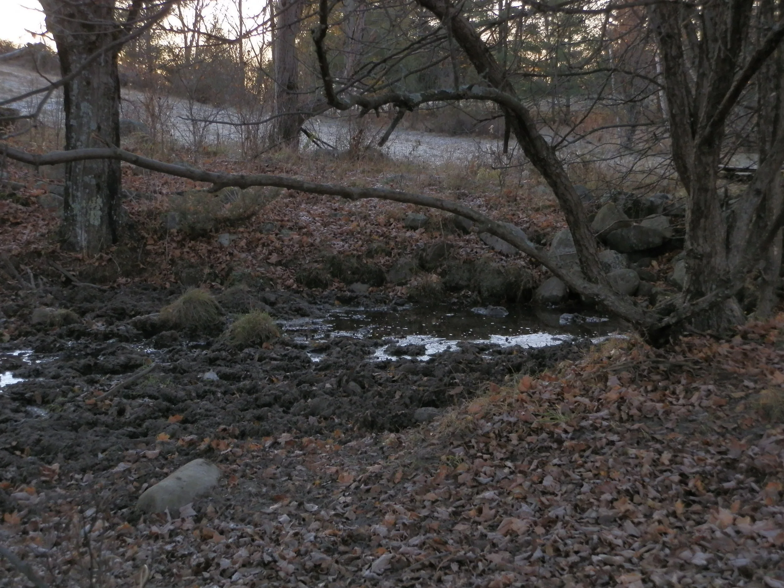 PB170112.JPG
