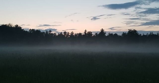 Evening mist