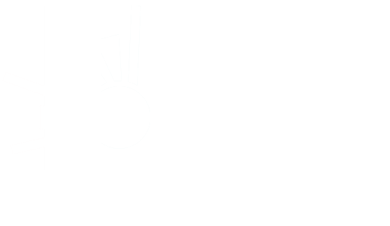 Everest laser Store