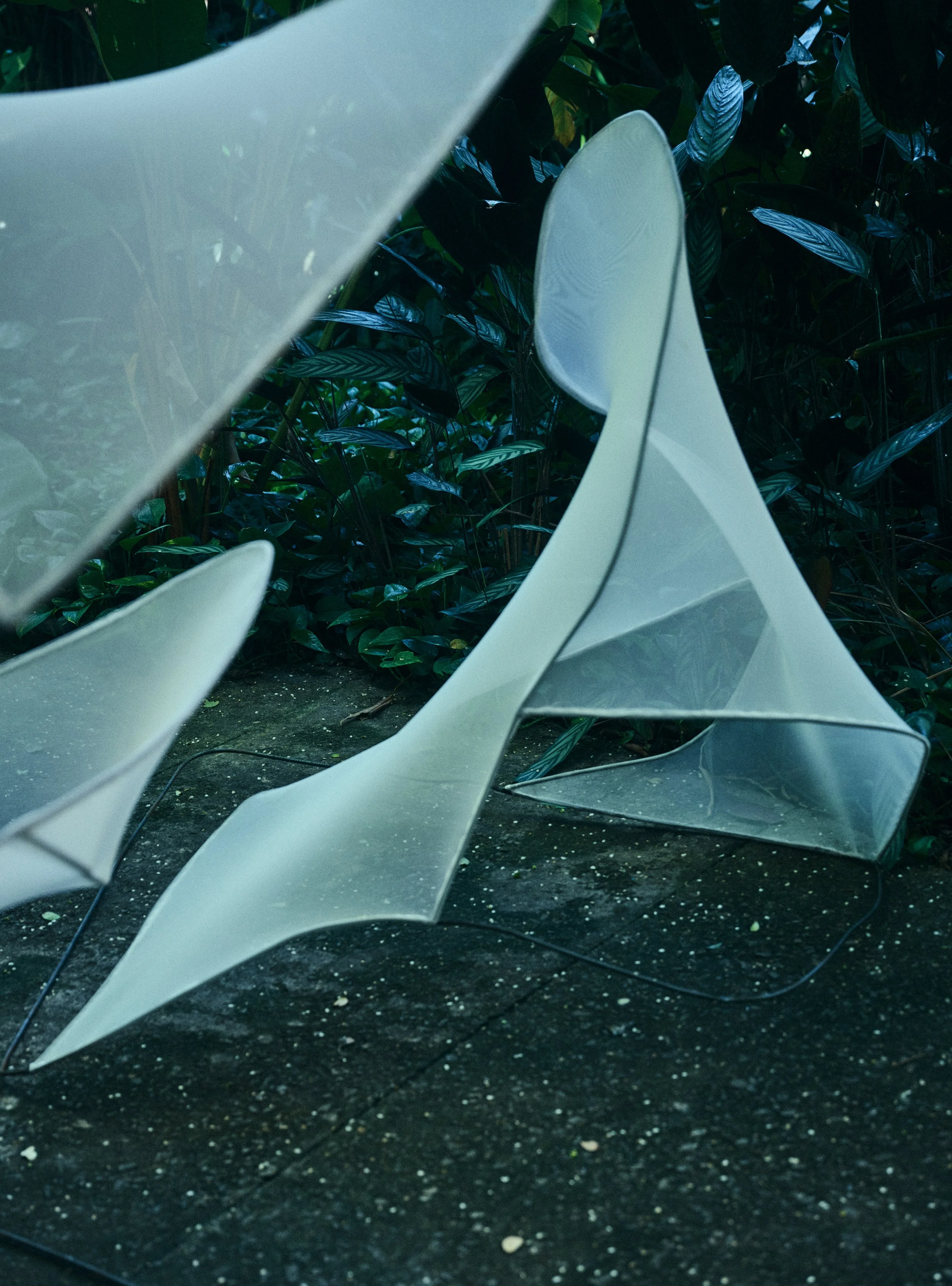 1520_S16_075_.jpg