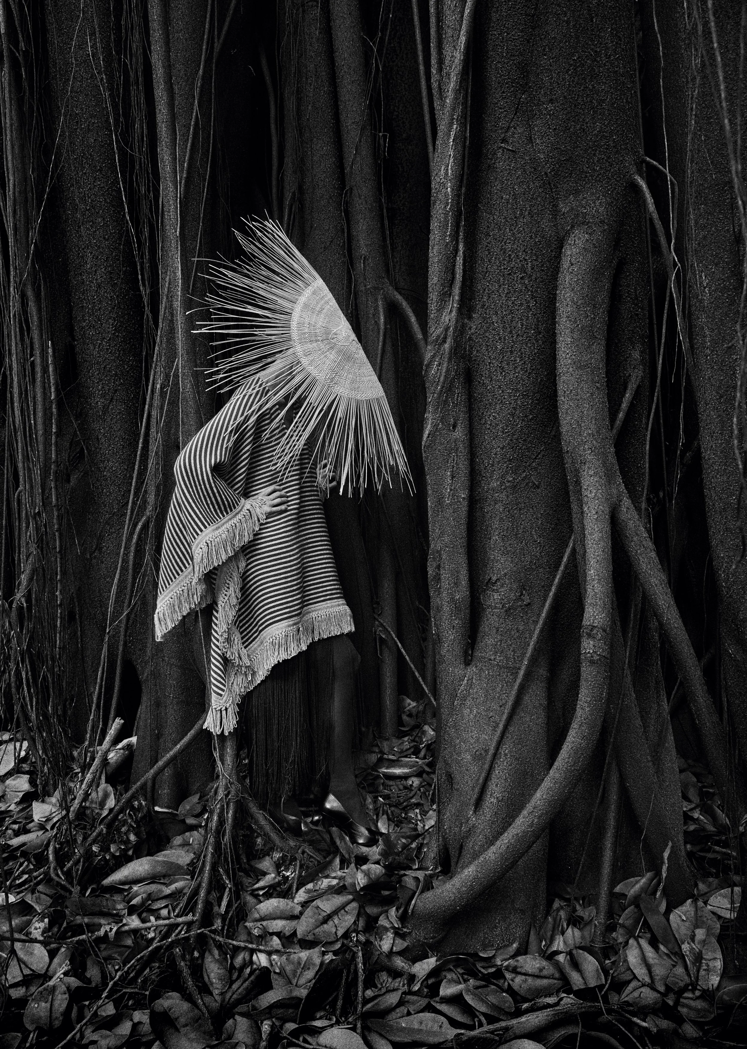 1520_S12_052_.jpg