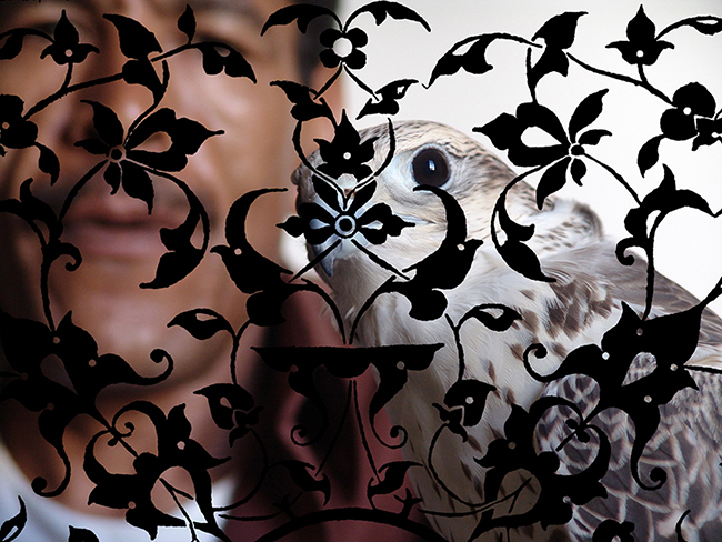 Falcon, 2016 Intervened digital photography 54 x 72 cm