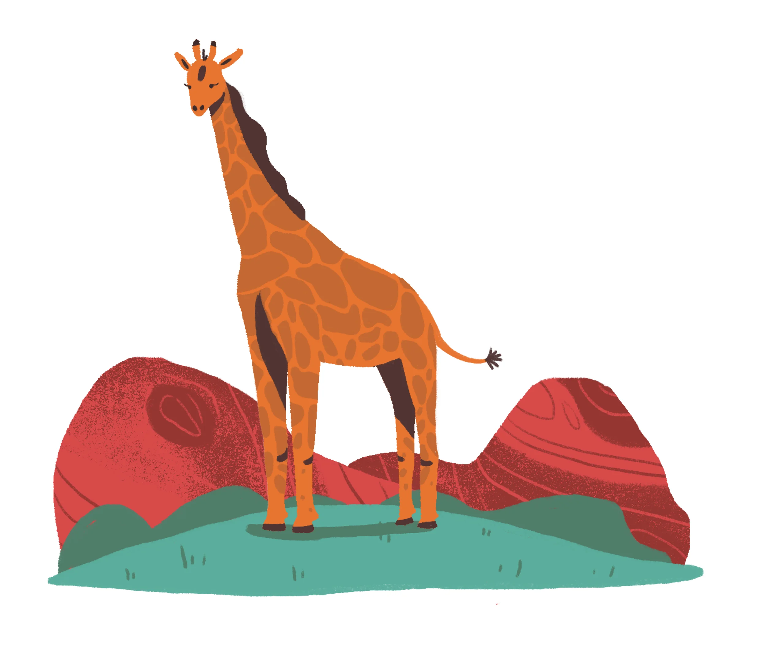Phoenix Zoo.jpg
