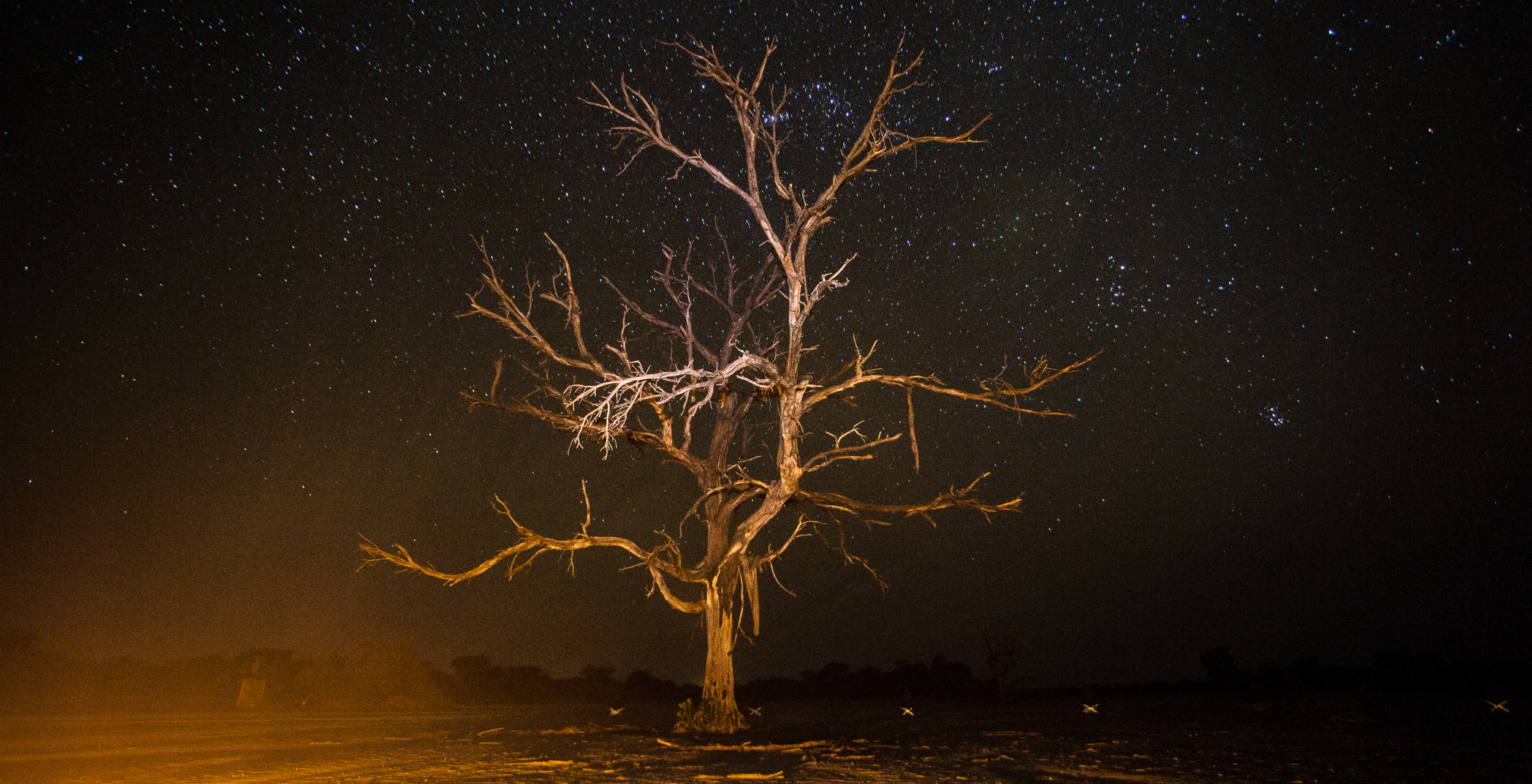 Hamar-Omo-Ethiopia-Tree-Nightsky-Kate-Malone.png