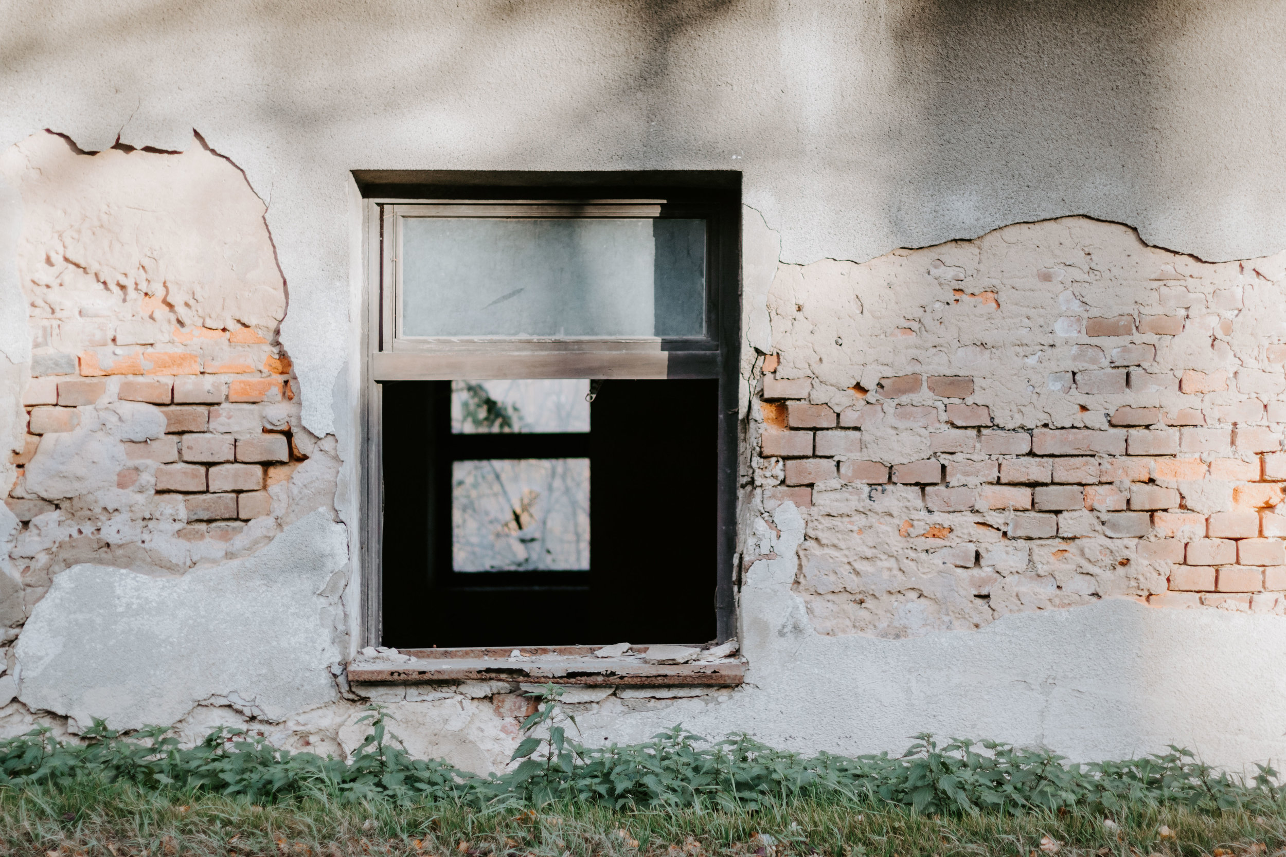 Renewal for Ourselves, our Communities, the Nations, and our World