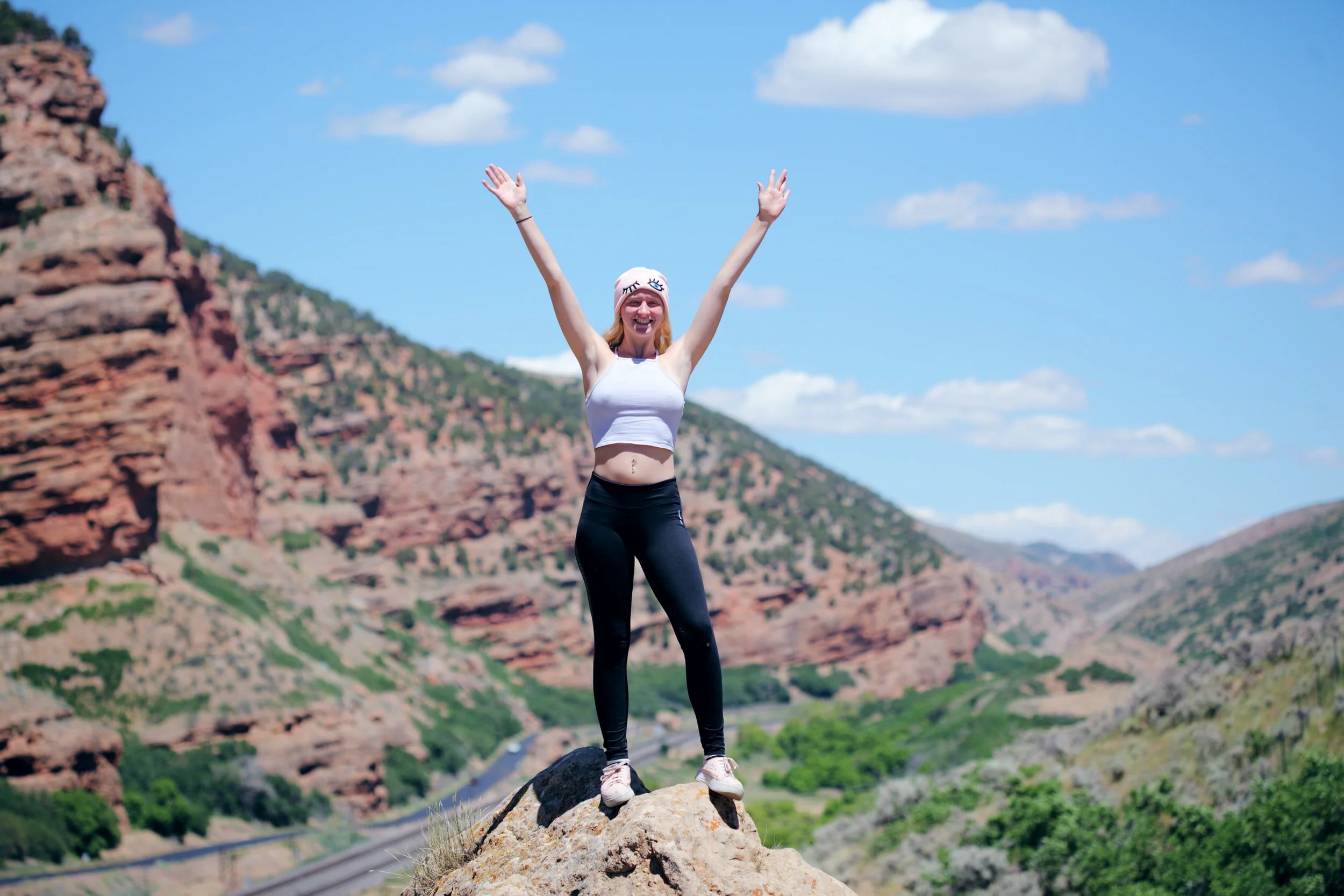 Pre-Decisions! When New Habits or Reaching Goals SeemsOut of Reach