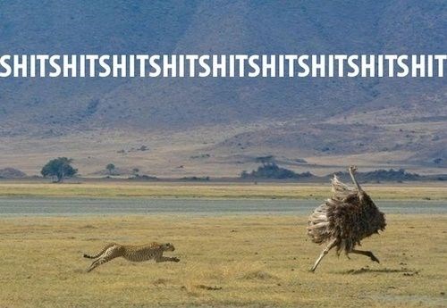 Tips For Surviving In Africa