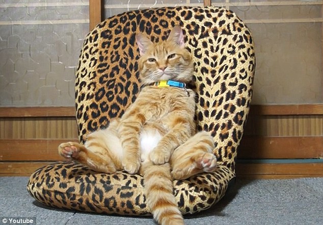 I Was Lost, But Now I'm Found