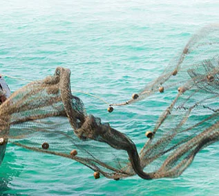 Let Down Your Net One More Time