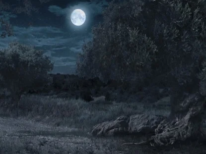 Don't Avoid the Garden