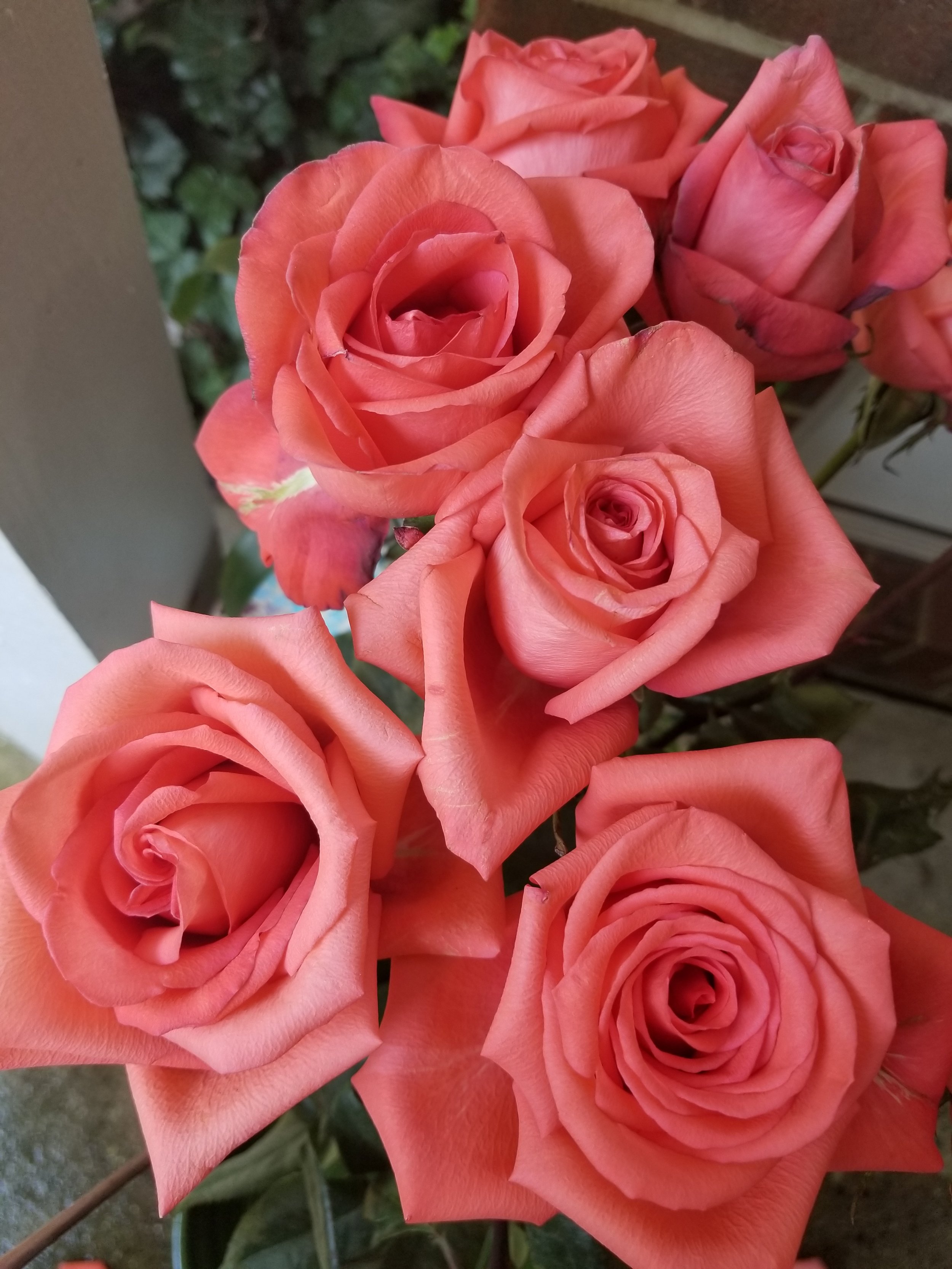 The Value of a Small Gesture