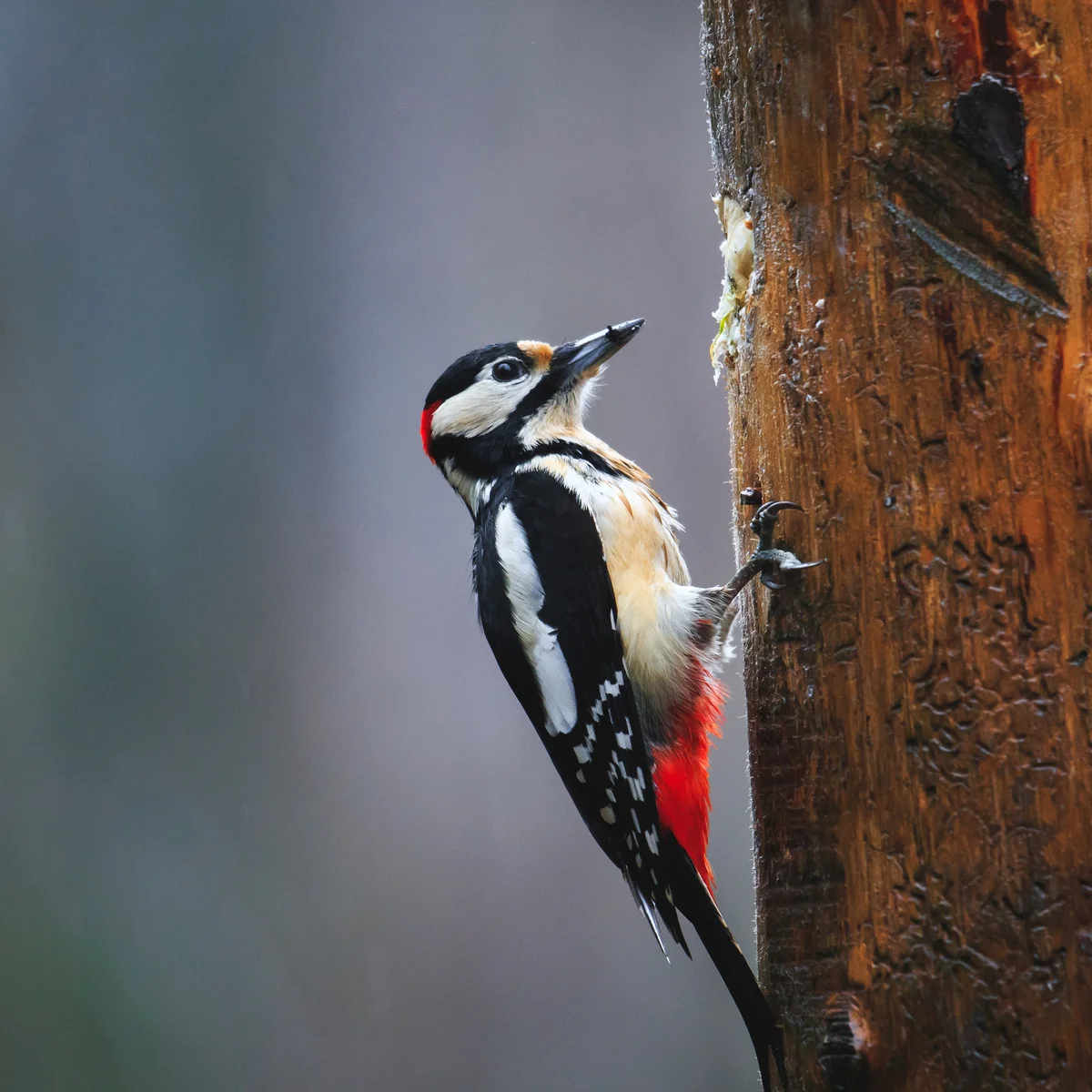 Don’t Give Yourself a Headache!