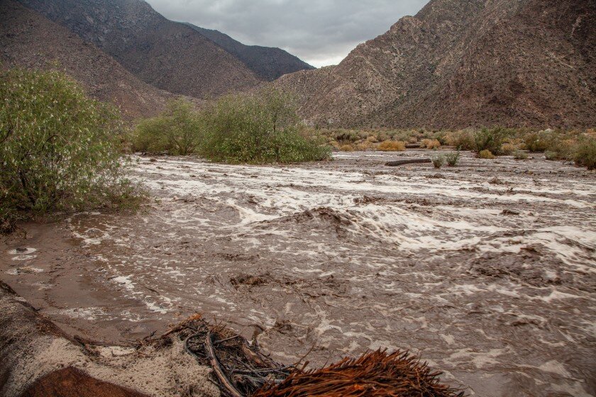 The Desert Experience: Wadi Wisdom