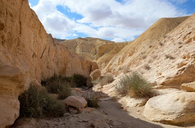 The Desert Experience: Desert Silence