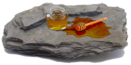 The Desert Experience: Honey from the Rock