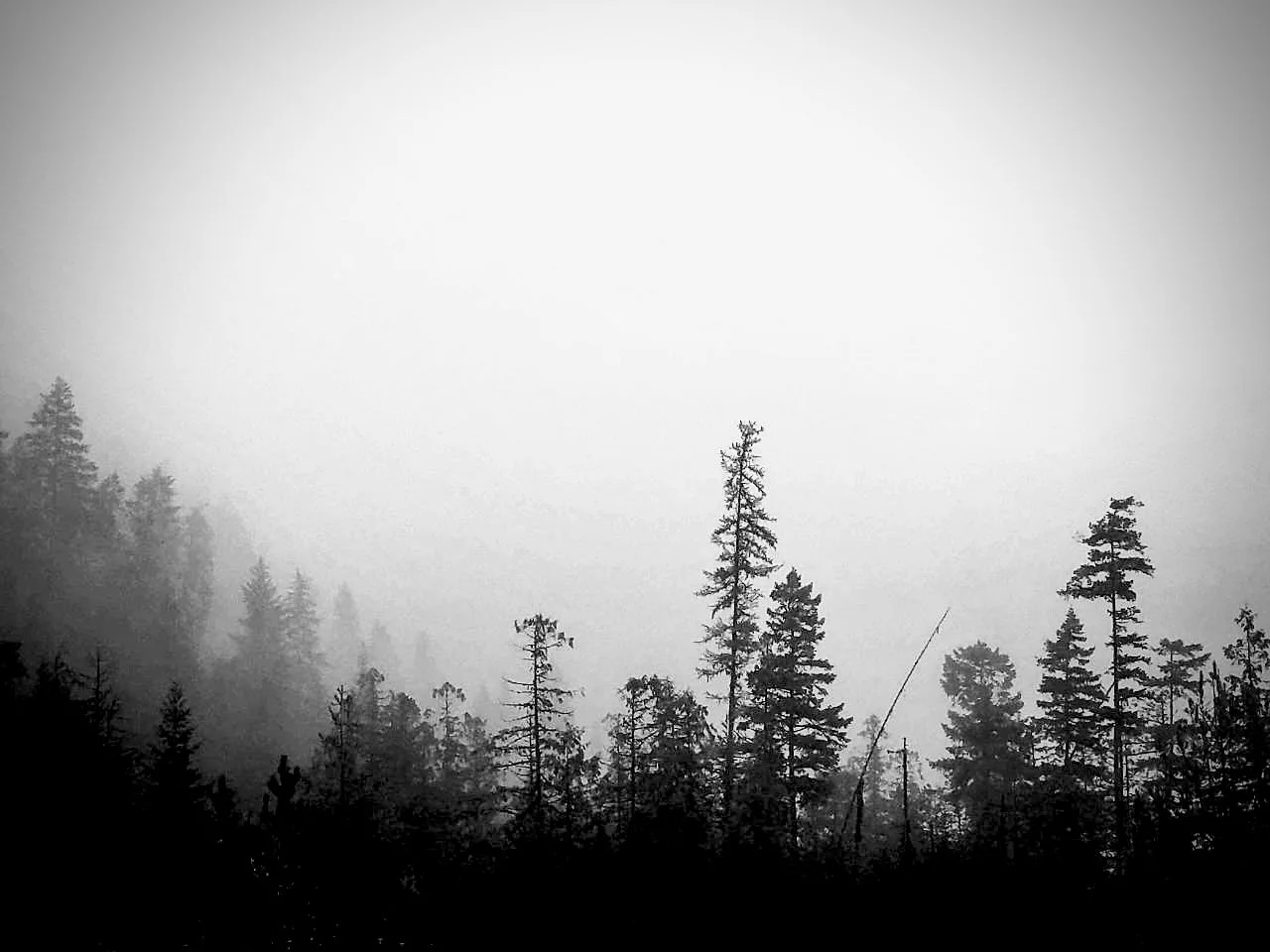 F1240C38-9BA3-46C5-BEAB-9230B30B747B.jpeg