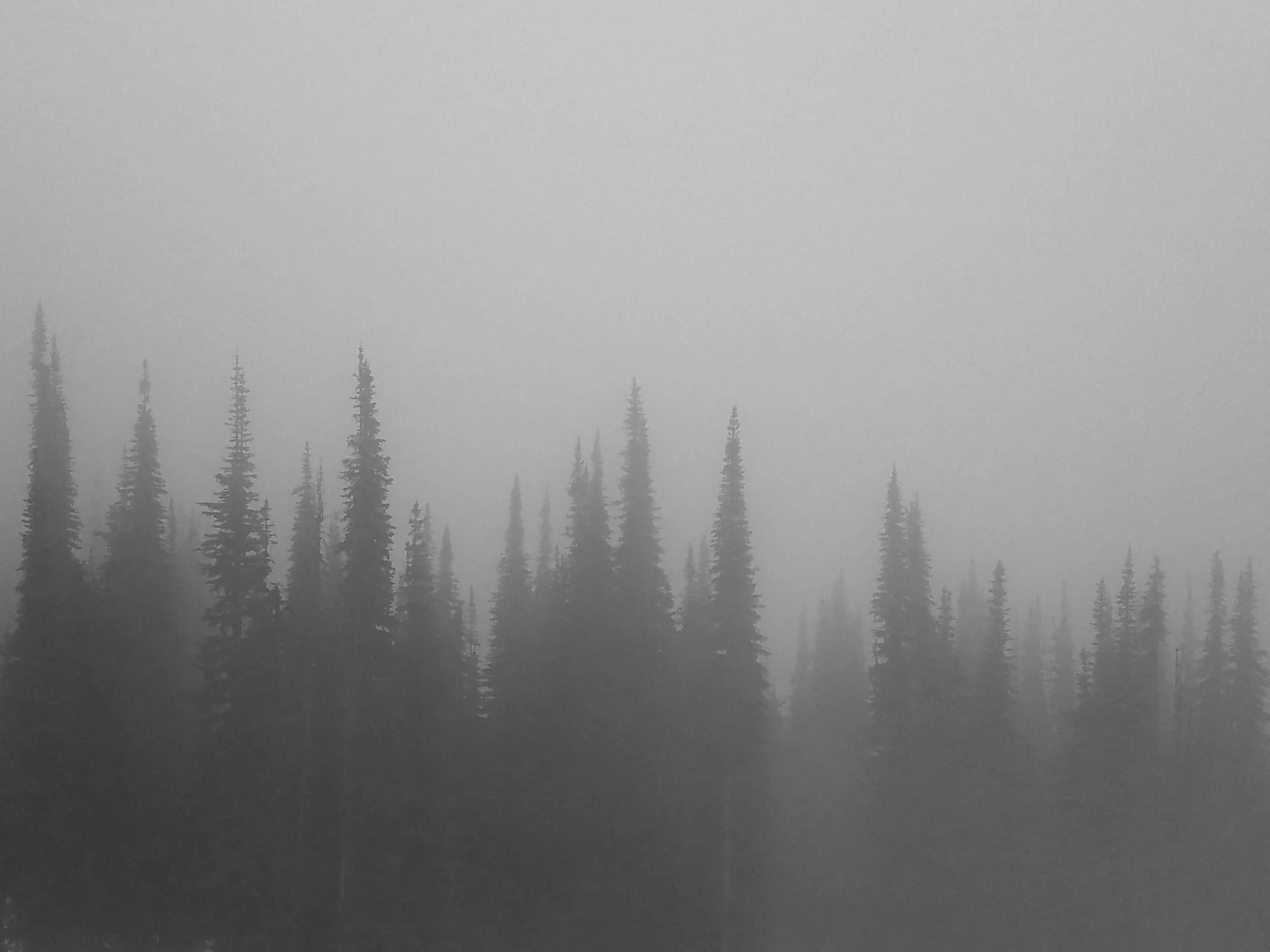 20180713_092713_Original.jpeg