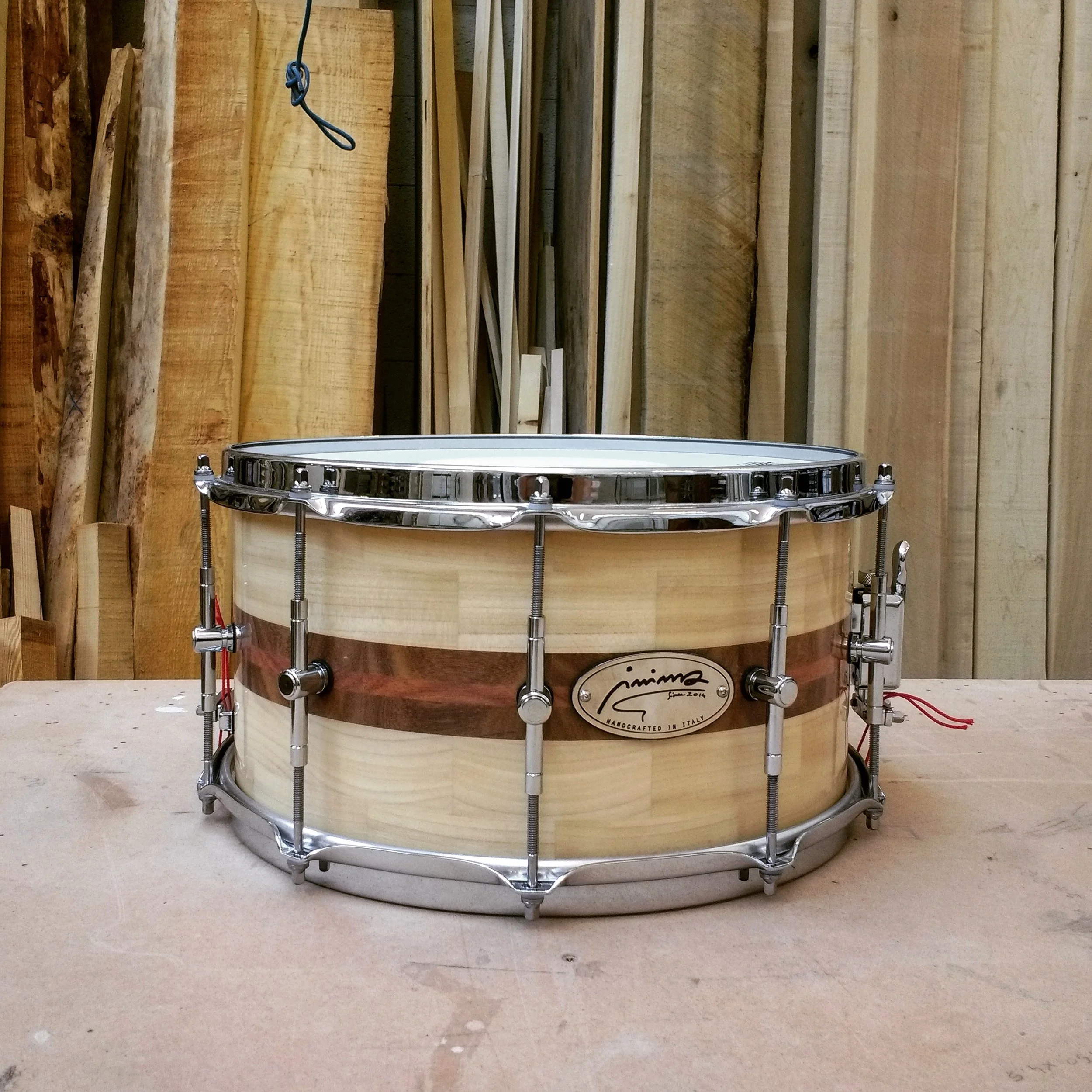 14x7tulipfinito.jpg