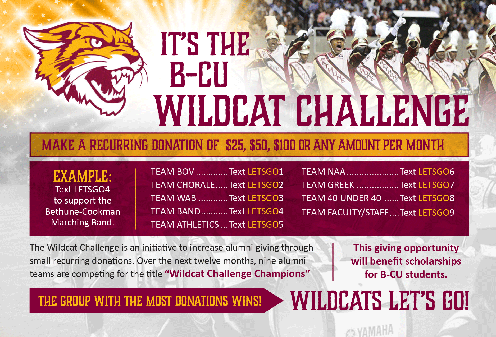 Wildcat-Challenge.png