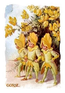 gorse_fairies_tarrant_small.jpg