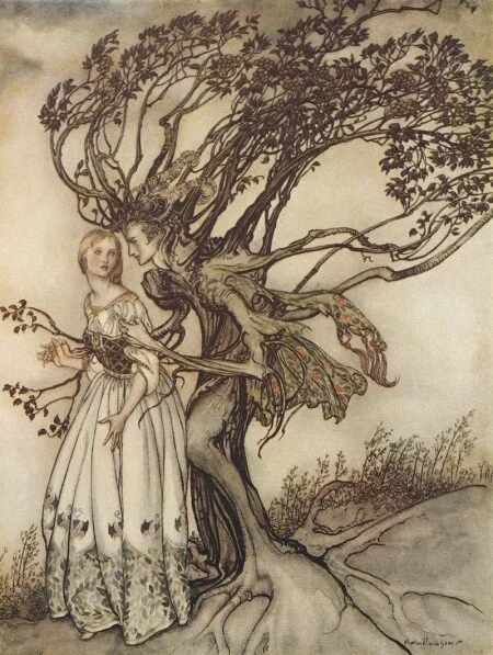 hawthorne Rackham.jpeg