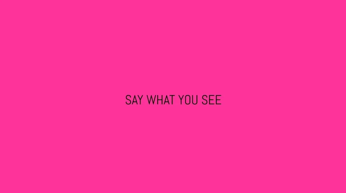 PINK say.JPG