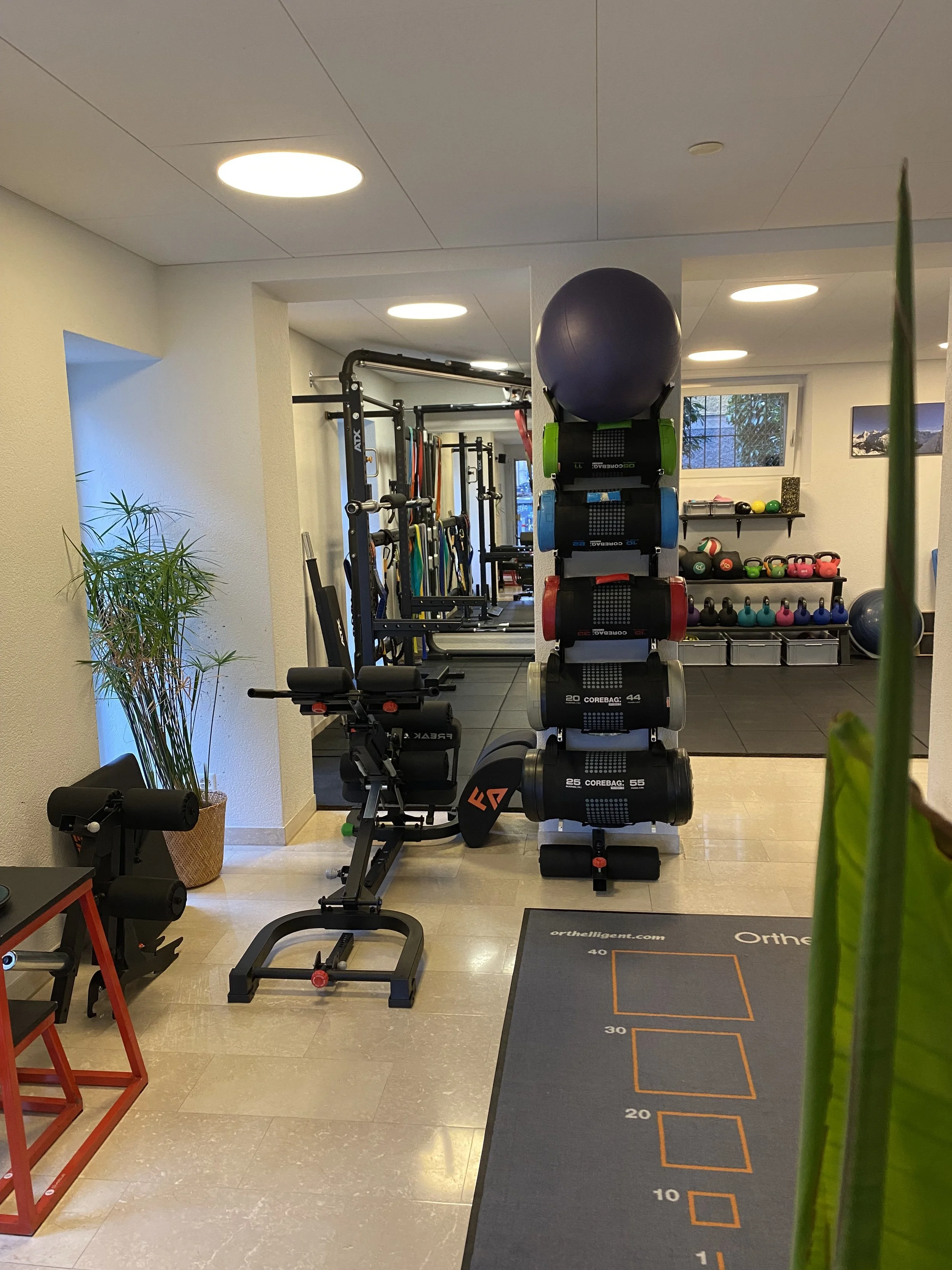 Innenraum eines Physio Praxis mit verschiedenen Trainingsgeräten, Gewichten und Matten.