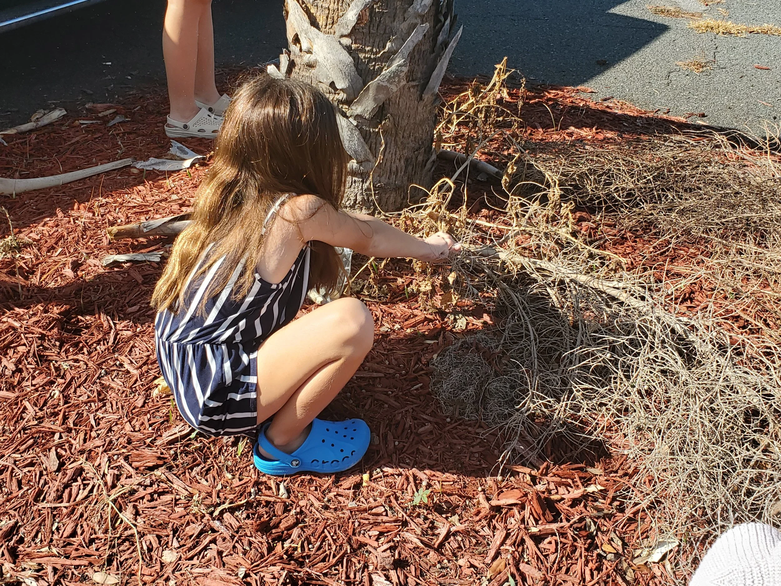 2024_kids_foraging_workshop_3.jpg