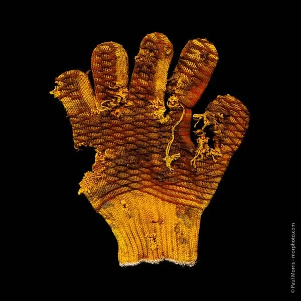 "Glove-9, Book 12," 2023 copyright Paul Morris