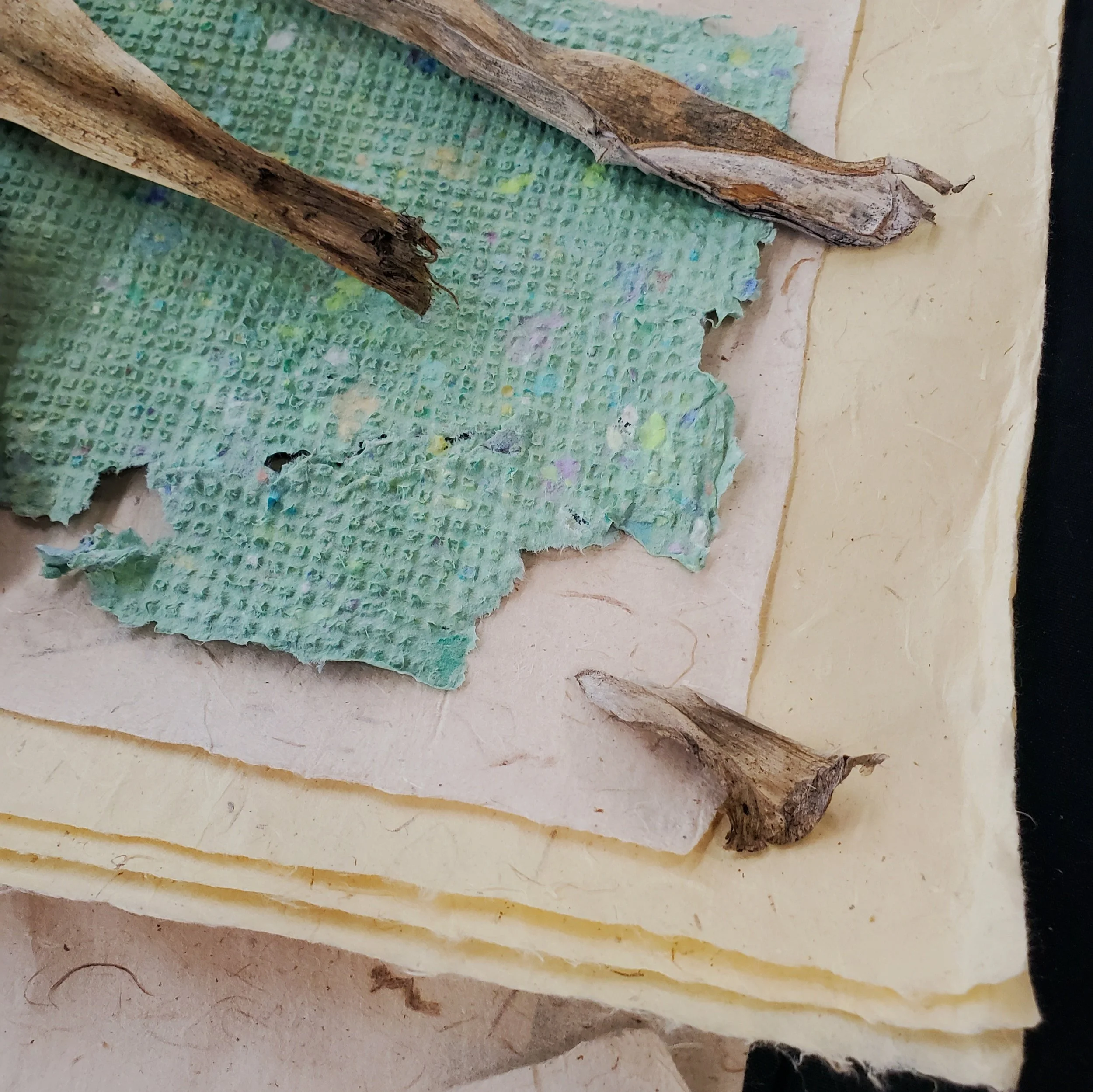Paper Making.jpg