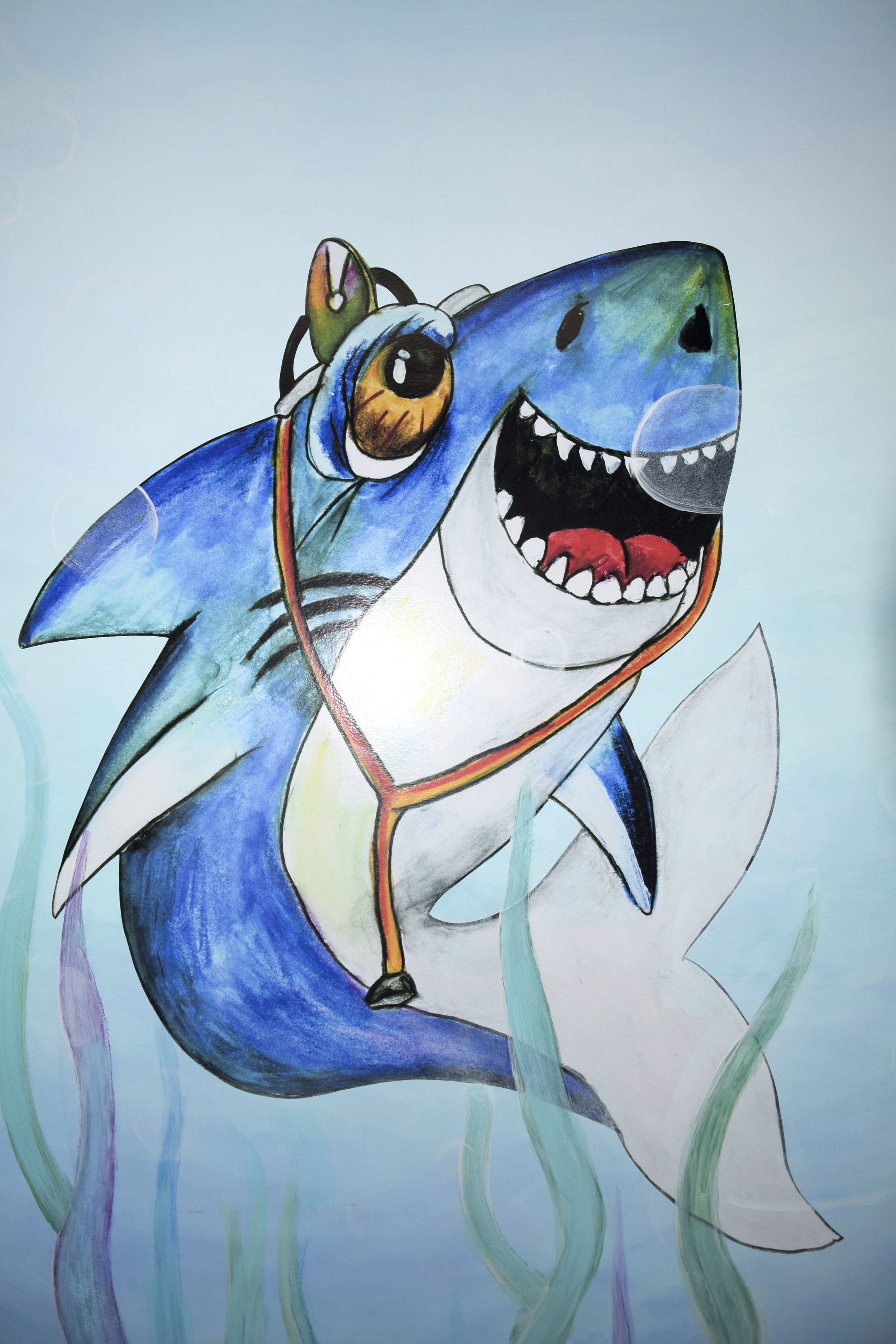 JA JAWS 180121 012-S.JPG