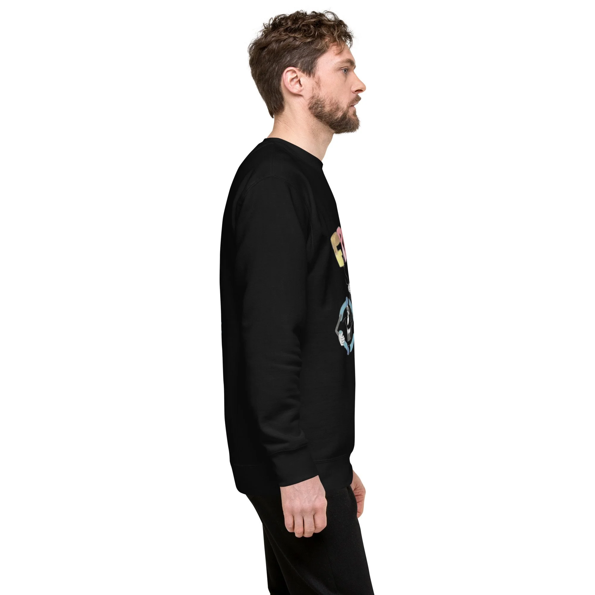 unisex-premium-sweatshirt-black-right-693d6c034c299.jpg