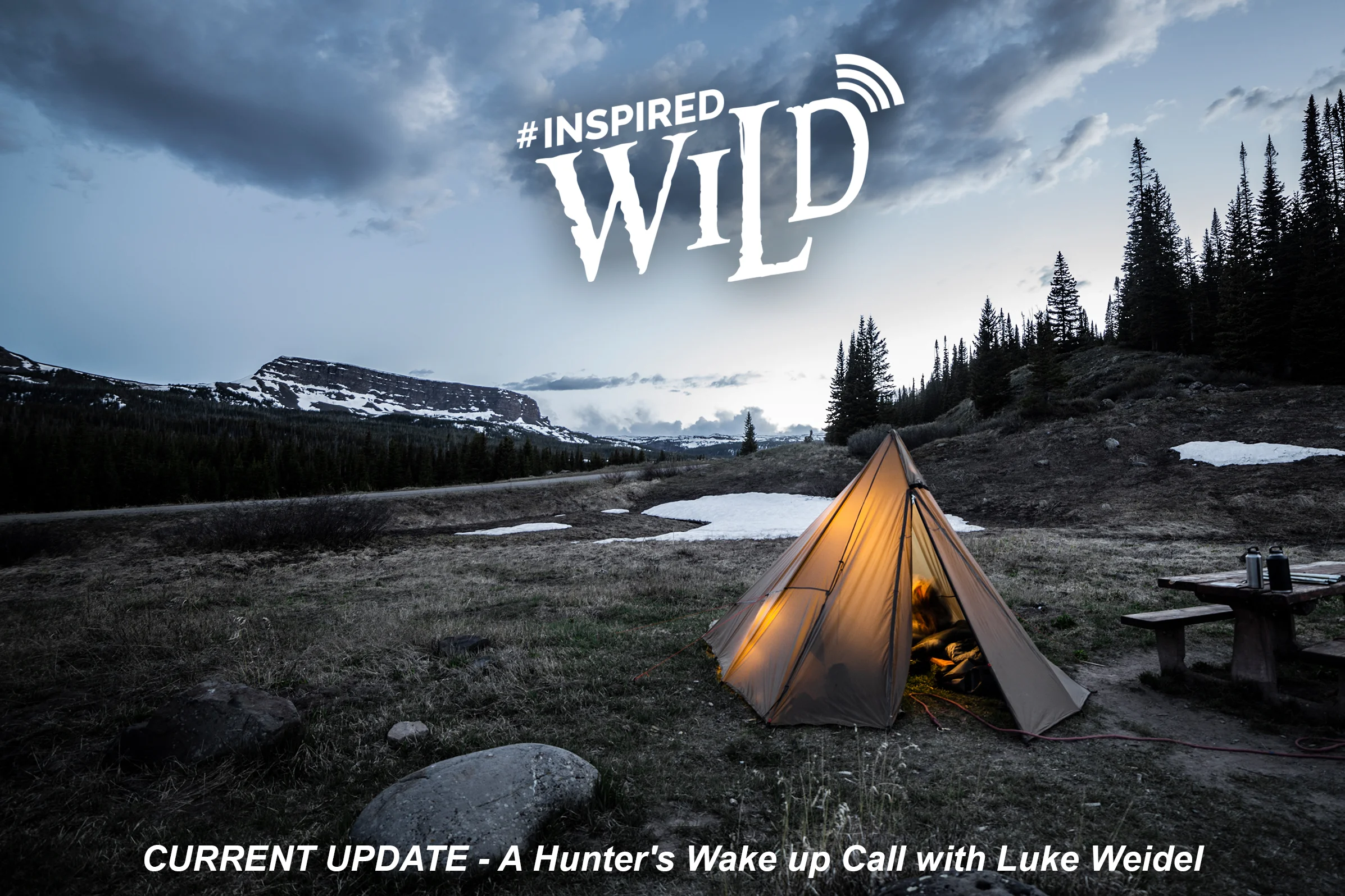 CURRENT UPDATE - A Hunter's Wake Up Call with Luke Wiedel