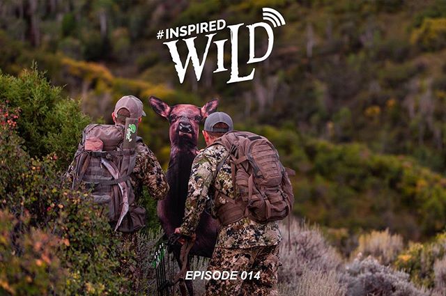 #inspiredwild Podcast Ep. 014- COLORADO ELK 2018 - Part 2 - 
LIVE NOW 
Subscribe on @itunes @podbean @stitcherpodcasts 
@tannervernon @clint_meyer and Aaron Ray join @trevonstoltzfus to discuss a rather eventful morning of elk hunting.  What to do wh