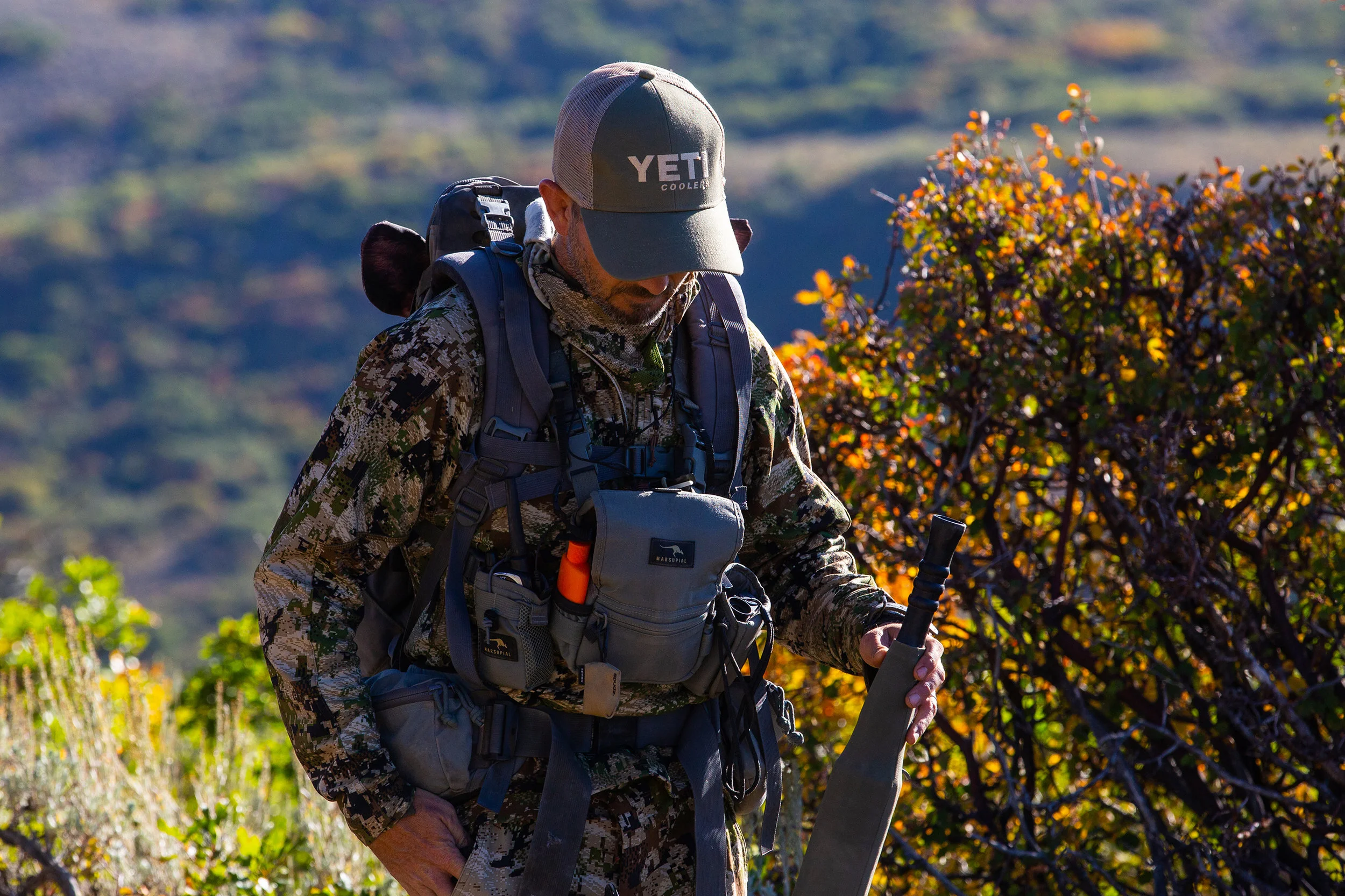 Colorado Elk 2018.jpg