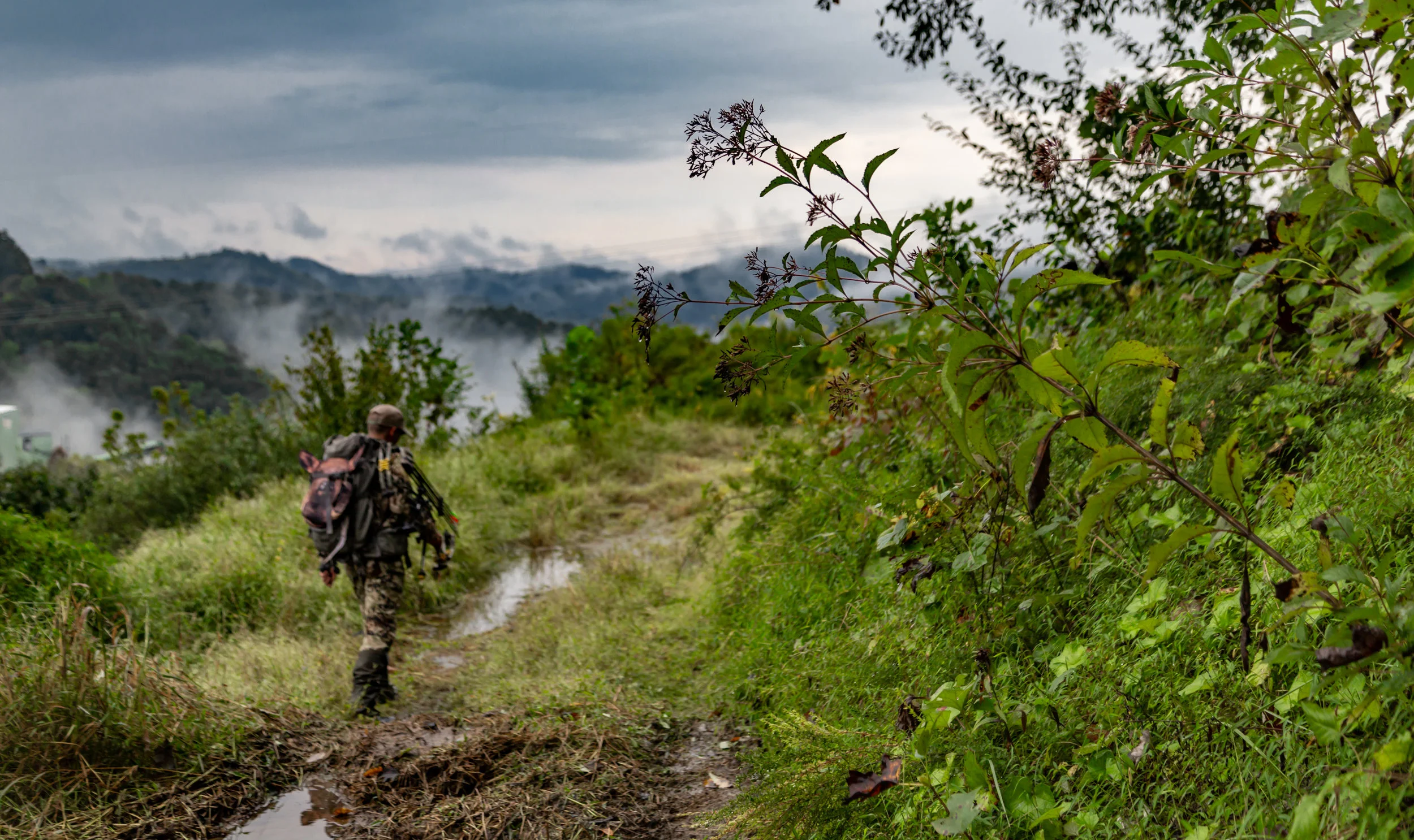 9529- OO_KY_Elk_2018_TS,KT (photo credit- Tanner Vernon).jpg